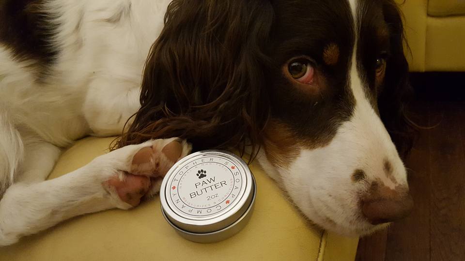 Paw Butter - Dog Paw Conditioner + Protectant