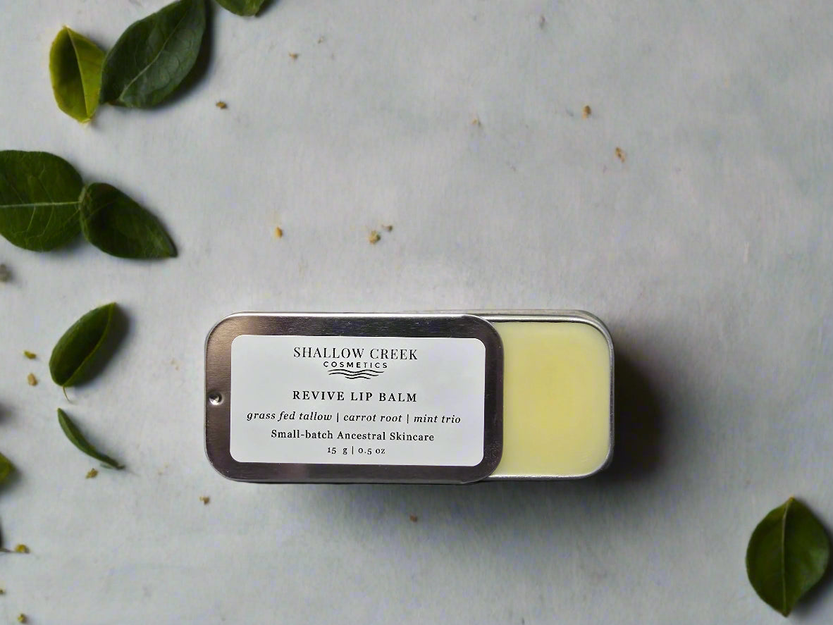 Shallow Creek Cosmetics Revive Lip Balm in an open metal tin, featuring a grass-fed tallow, carrot root, and mint trio formula for ancestral skincare. The balm is surrounded by fresh green leaves.