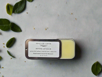 Shallow Creek Cosmetics Revive Lip Balm in an open metal tin, featuring a grass-fed tallow, carrot root, and mint trio formula for ancestral skincare. The balm is surrounded by fresh green leaves.